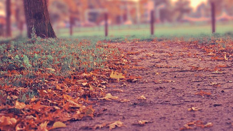 Facturile la energie electrică scad cu 15% pentru consumatorii casnici din mai 2026